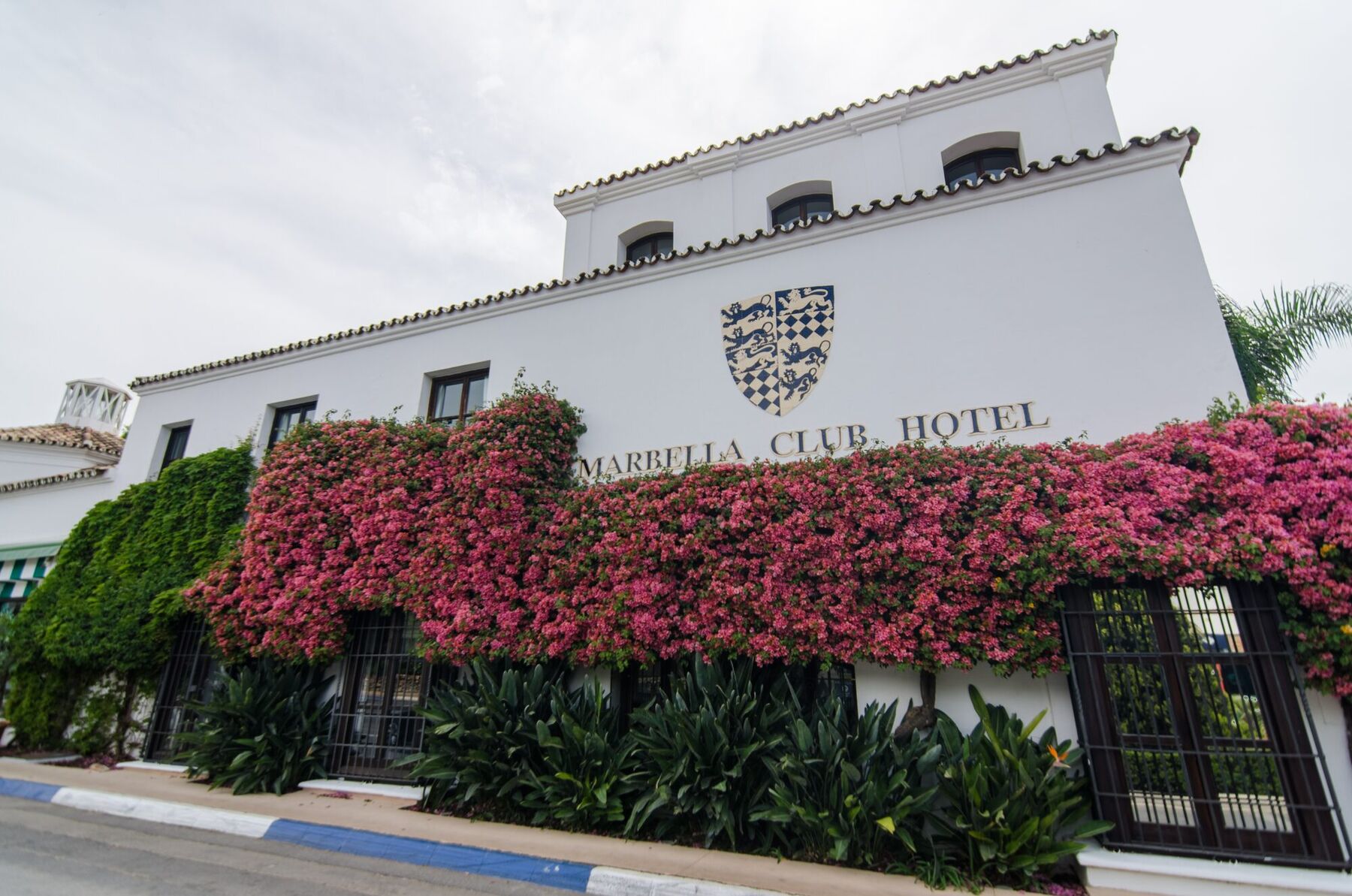 Bougainvillea on a Marbella facade